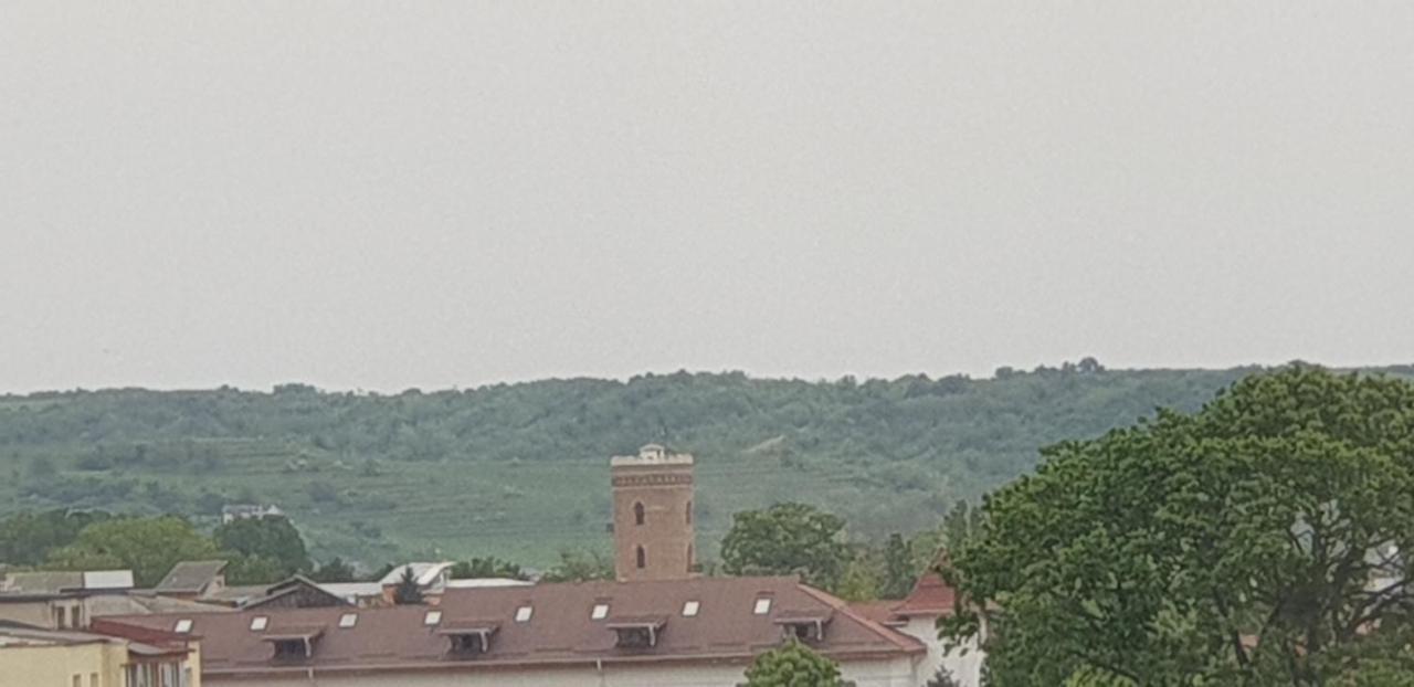 Hellen Apartament Targoviste Extérieur photo